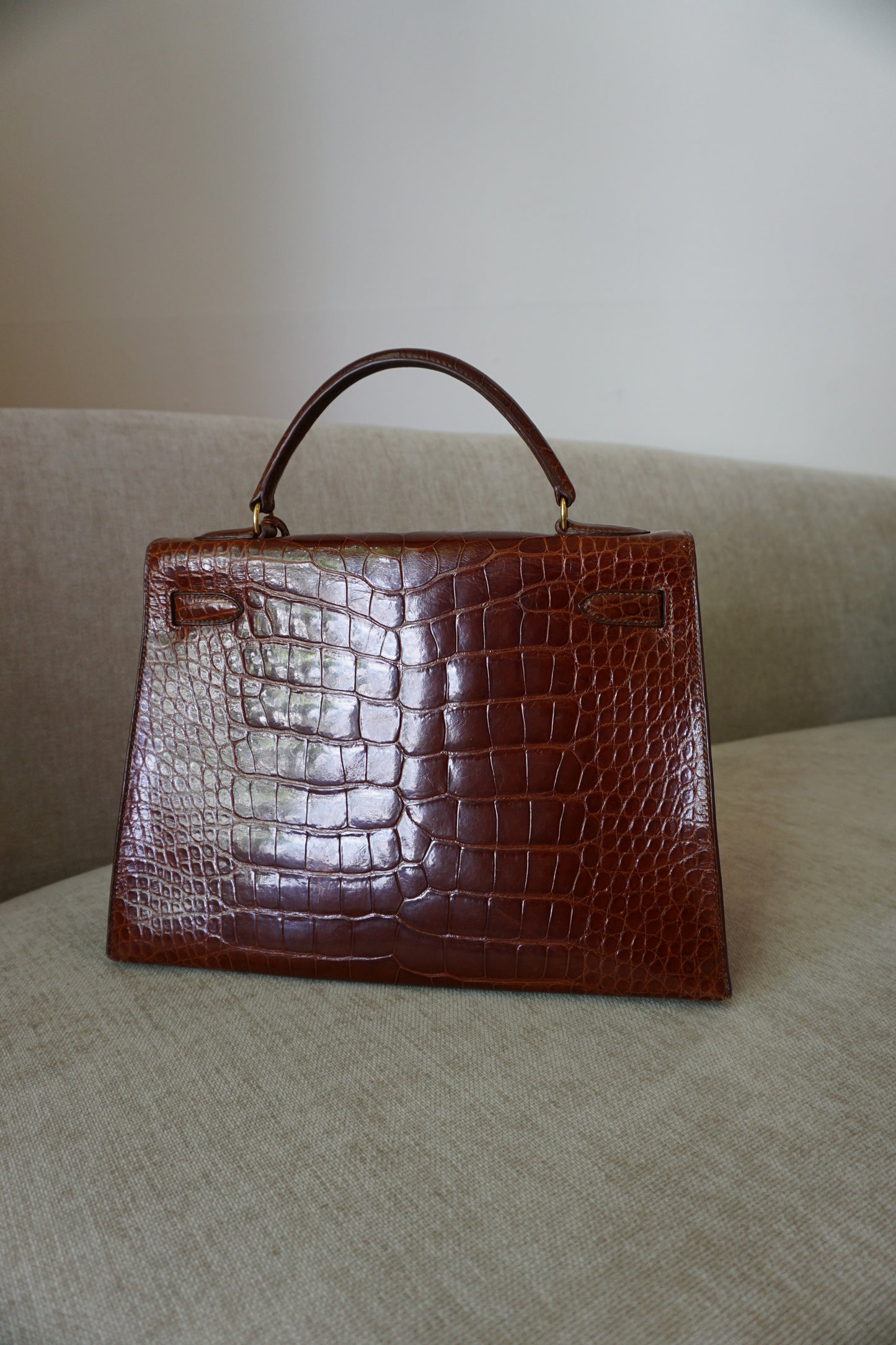 Pre-Loved Hermès Shiny Étrusque Alligator Kelly 32